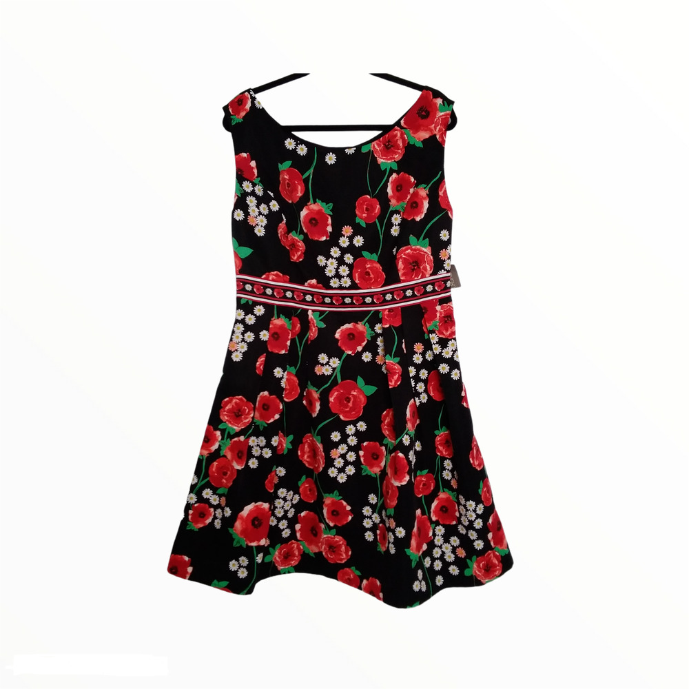 Eva Mendes Black Red Floral Fit & Flare Dress 12